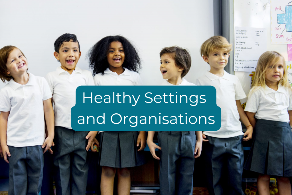 Click this box to go to Healthy Settings and Organisations page